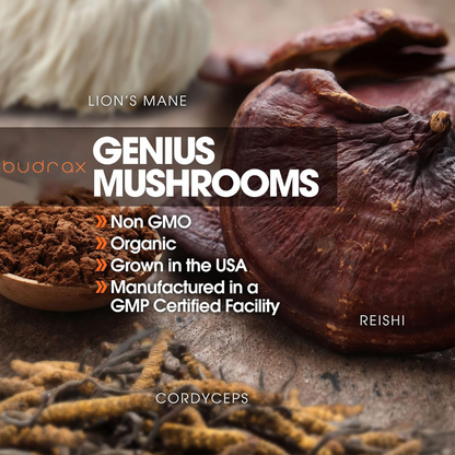 Genius Mushrooms
