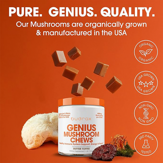 Genius Mushroom Soft Chews