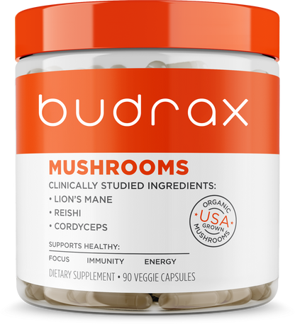 Genius Mushrooms