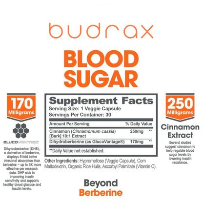 Genius Blood Sugar
